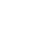 Logo Icon